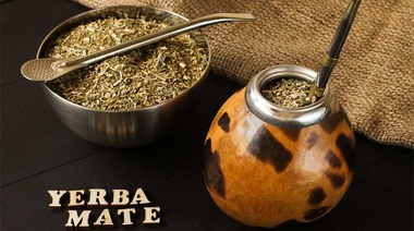 Tomar mate disminuye el riesgo de contraer Parkinson