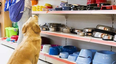 Ofertas en tiendas de mascotas y pet shops de Varela