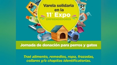 Jornada de donación para perros y gatos, en la Plaza San Juan Bautista
