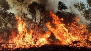 Corrientes: ¿Cómo empezaron los incendios?
