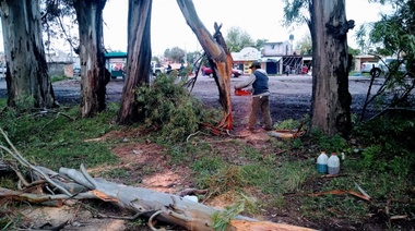 Rápido accionar del Municipio ante los daños causados por la tormenta