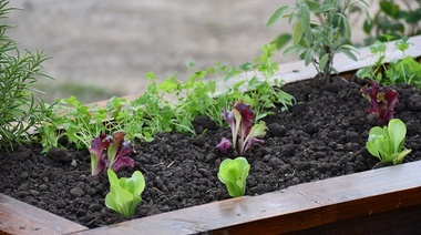 Continúa el programa municipal “Huertas Varelenses”