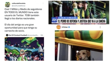 Tobi, el perro de Defensa y Justicia que enamora a todo el mundo