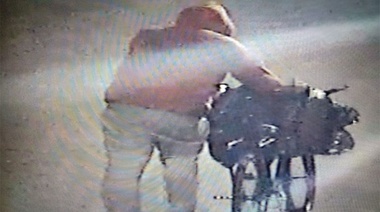 Cámaras de seguridad: aprehendieron a sujeto con pedido de captura