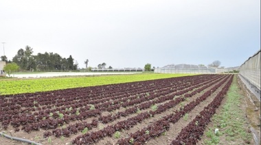 Día del Agricultor y del Productor Agropecuario