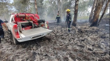 “Salvé a perros que estaban perdidos por el fuego en el incendio de Berazategui”