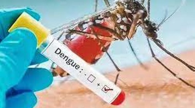 Confirmaron que hay circulación comunitaria de Dengue y Chikungunya en el AMBA