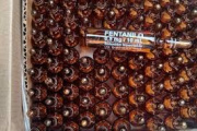 Echaron a la jefa de Medicamentos de ANMAT en medio de las detenciones por el Fentanilo