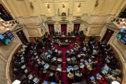 El Senado rechazó el veto de Milei: es ley la Emergencia en Discapacidad en todo el pais