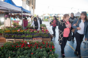 Este fin de semana disfrutá de una nueva edición de la Fiesta de la Flor